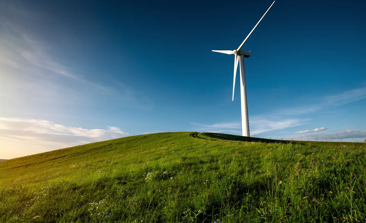 Une éolienne moderne se dresse sur une colline verdoyante sous un ciel bleu dégagé, baignée de la lumière du soleil.
